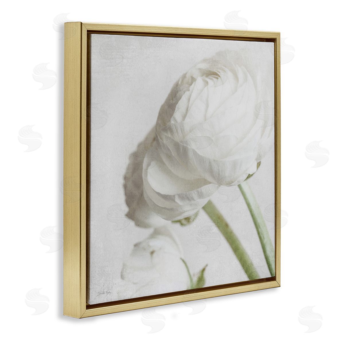 Charming White Peony Gold Floating Frame Canvas Wall Art, Home Decor by Jennifer Rigsby