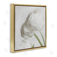 Jennifer Rigsby | Charming White Peony