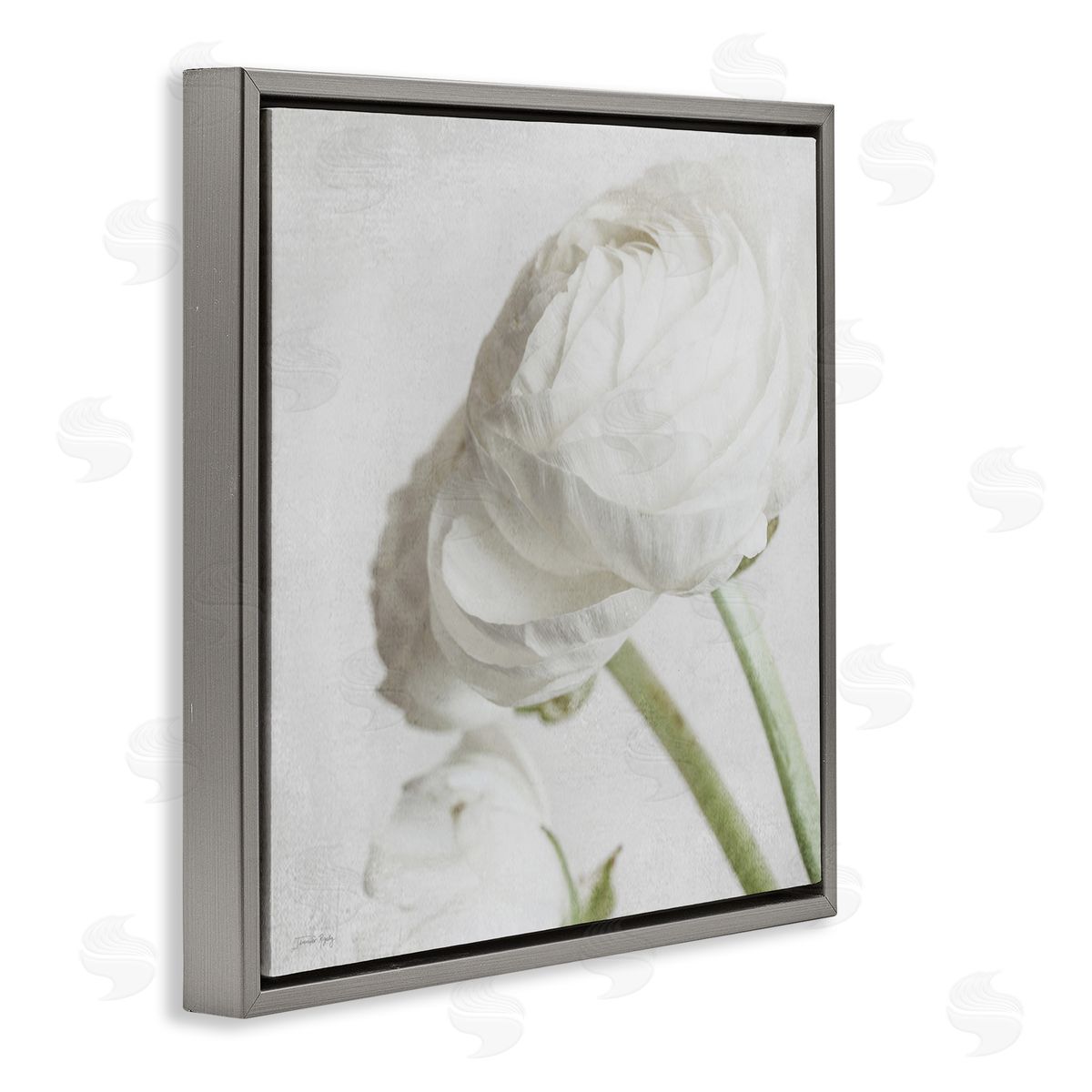 Charming White Peony Grey Floating Frame Canvas Wall Art, Home Decor by Jennifer Rigsby