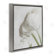 Jennifer Rigsby | Charming White Peony