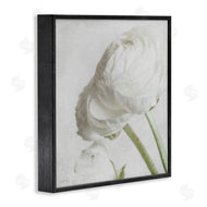 Jennifer Rigsby | Charming White Peony