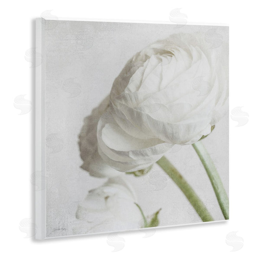Jennifer Rigsby | Charming White Peony