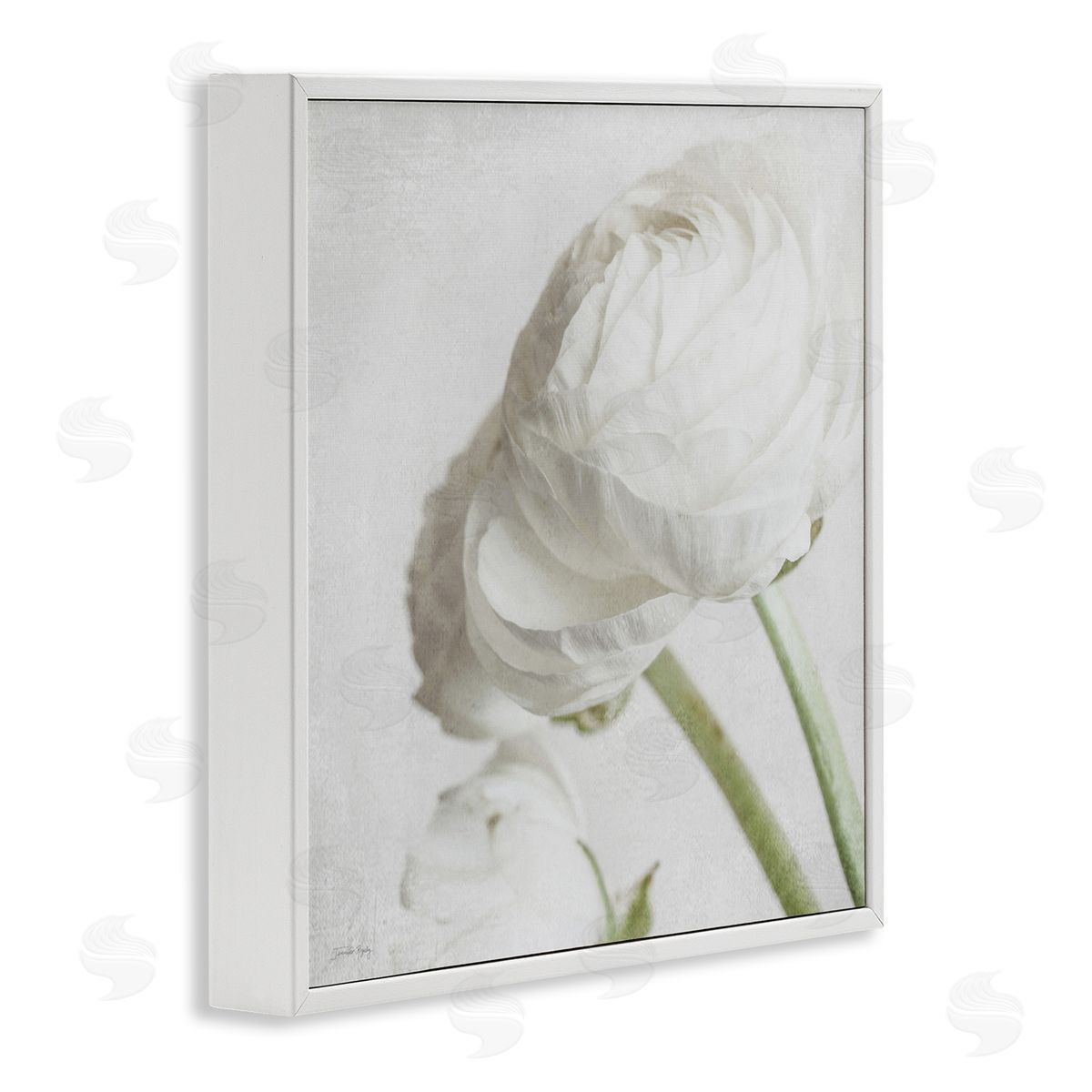 Charming White Peony White Frame Print Wall Art, Home Decor by Jennifer Rigsby
