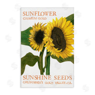 Nancy Overton | Sunflower Seeds Design