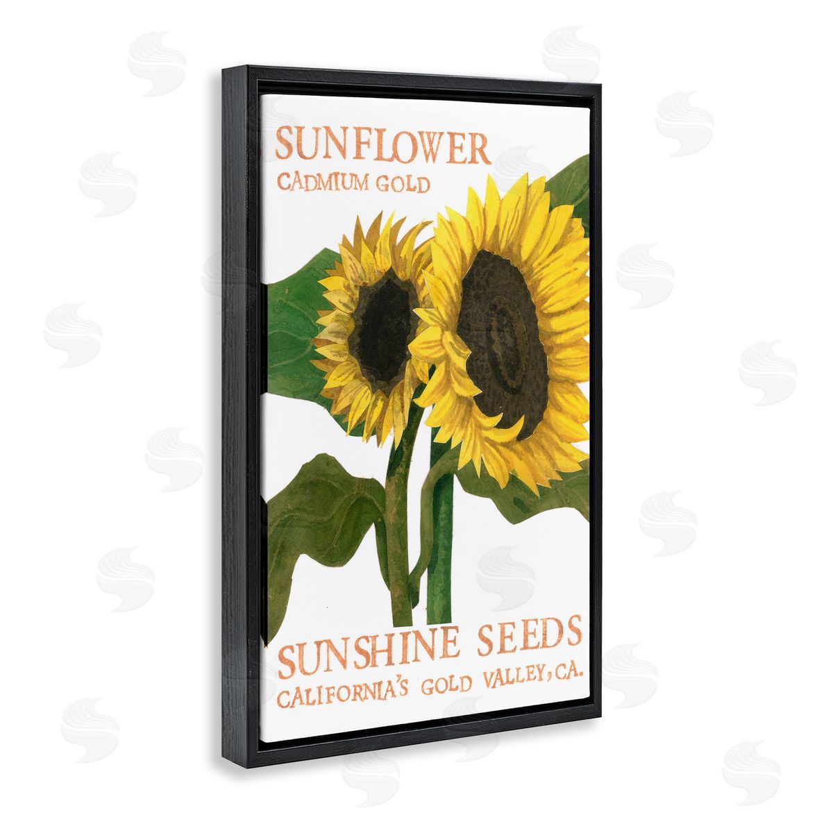 Sunflower Seeds Design Black Floating Frame Canvas Wall Art, Home Decor by Nancy Overton