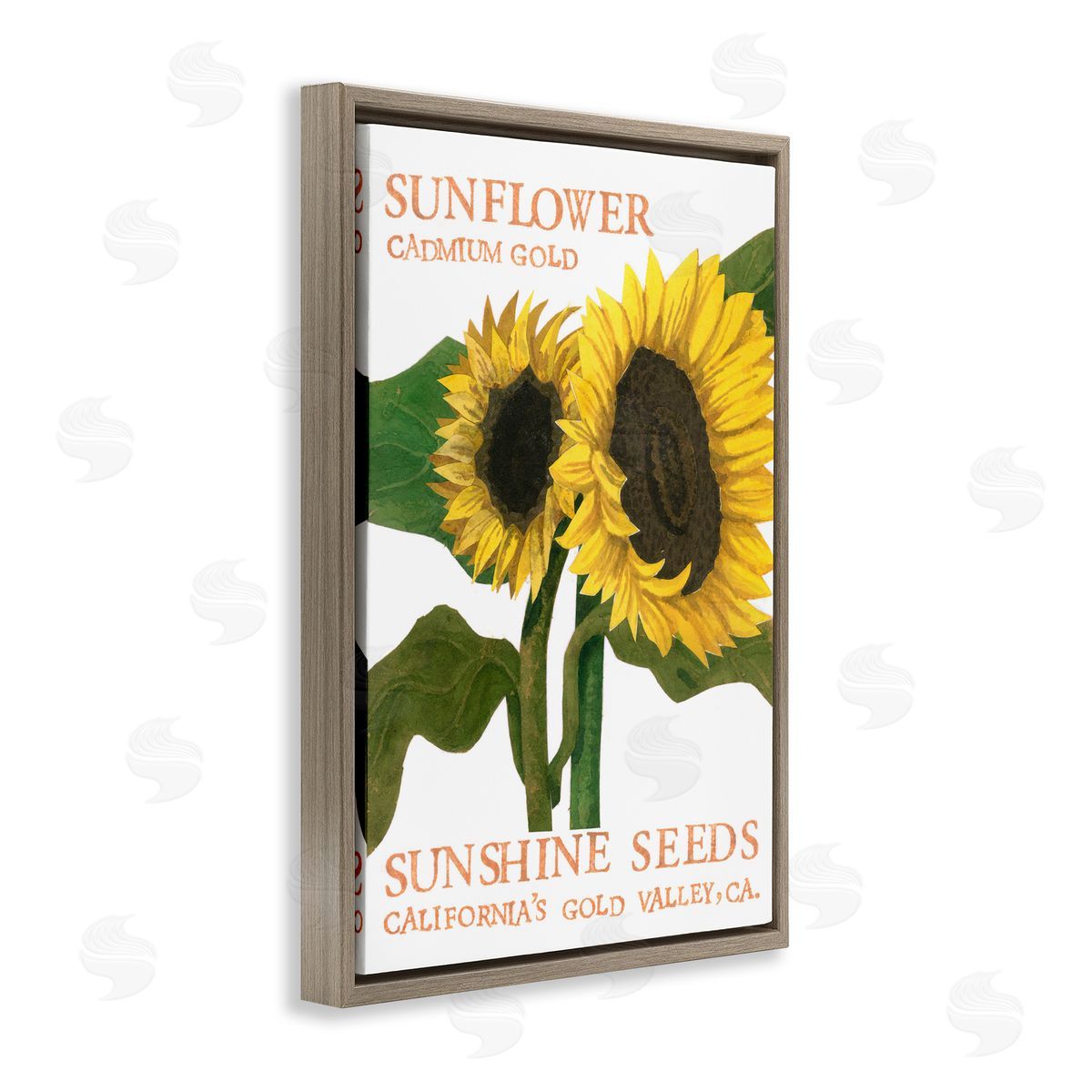 Sunflower Seeds Design Brown Floating Frame Canvas Wall Art, Home Decor by Nancy Overton
