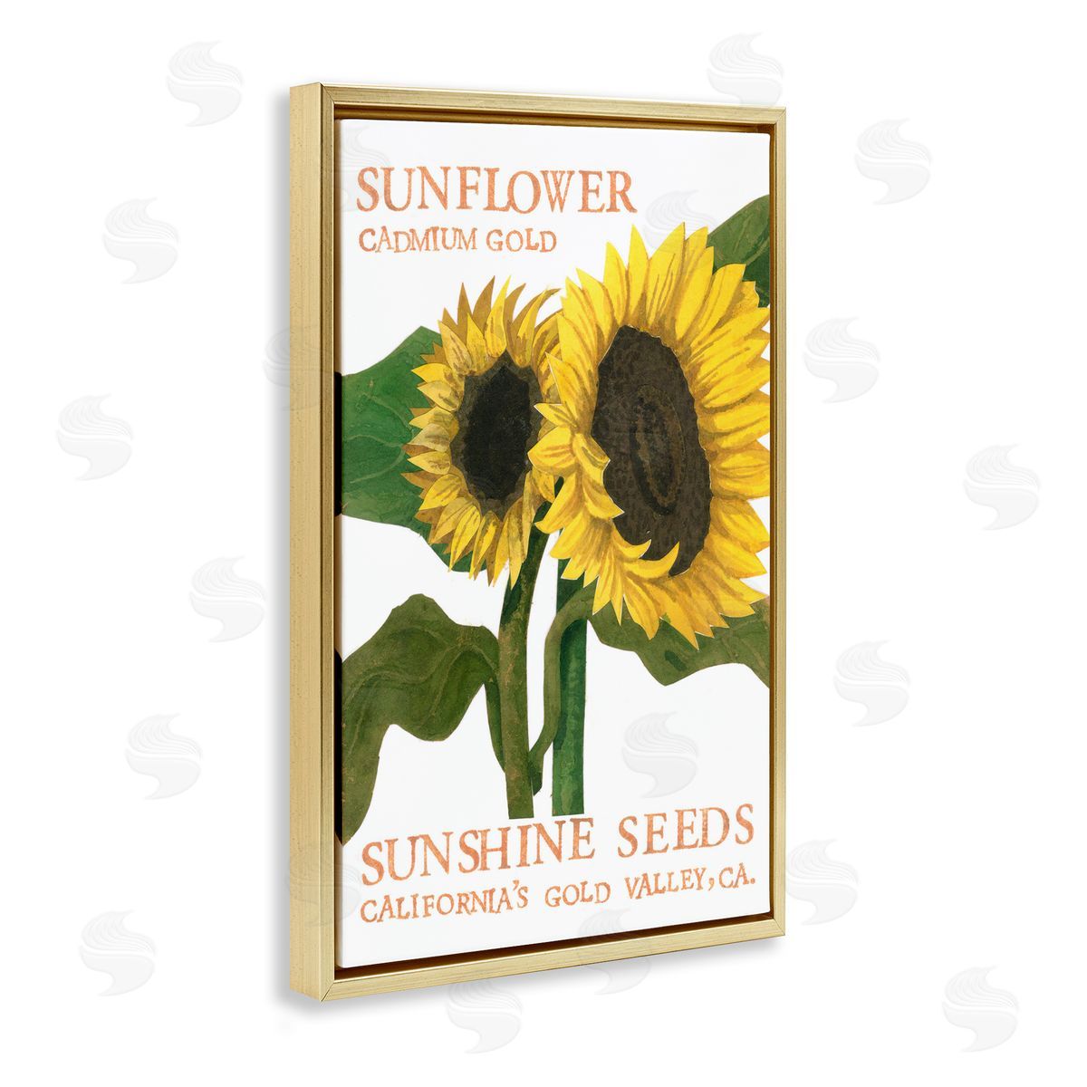 Sunflower Seeds Design Gold Floating Frame Canvas Wall Art, Home Decor by Nancy Overton