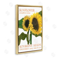 Nancy Overton | Sunflower Seeds Design