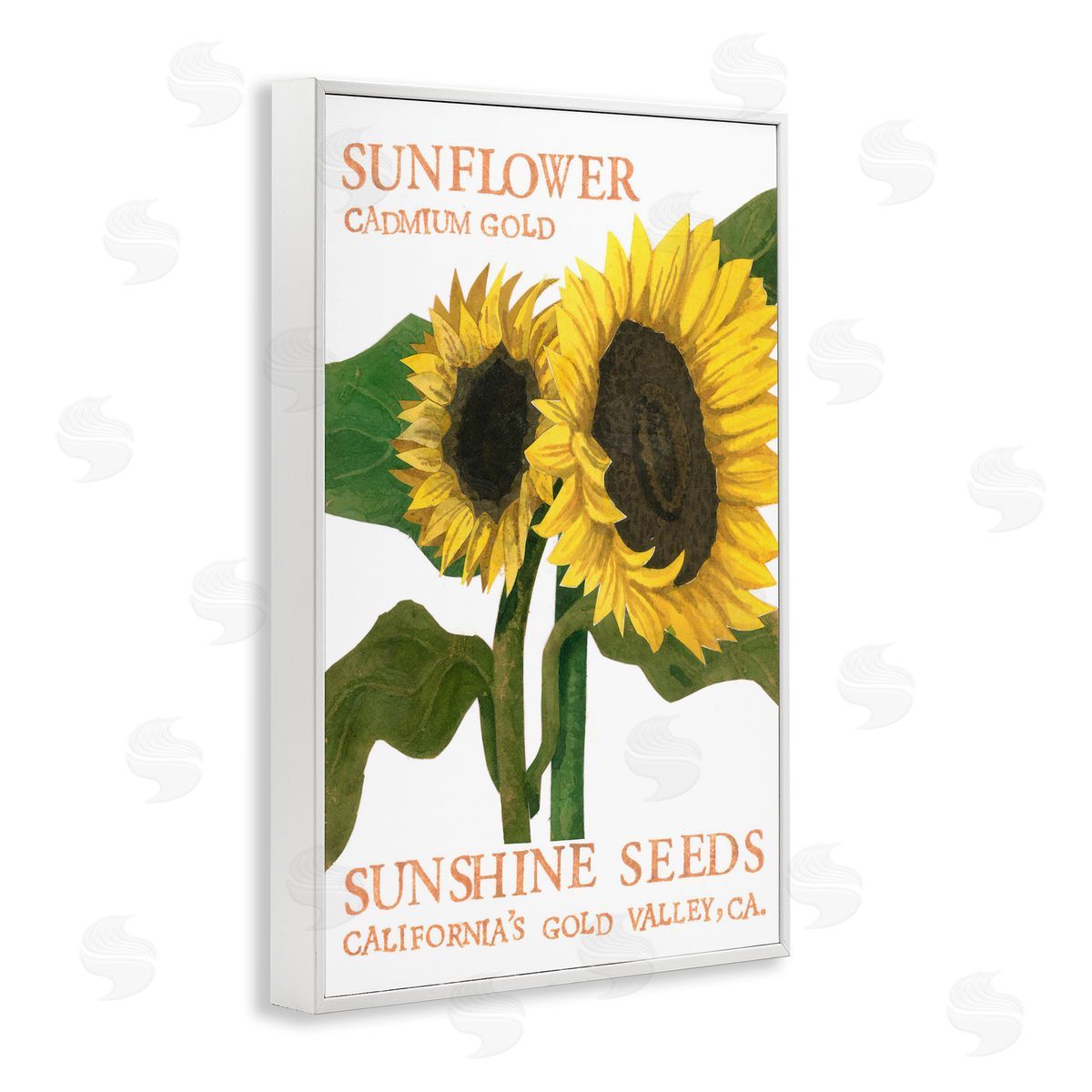 Sunflower Seeds Design White Frame Print Wall Art, Home Decor by Nancy Overton