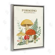 Sharon Lee | Vintage Foraging Mushrooms