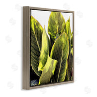 Emily Navas | Bright Tropical Leaves