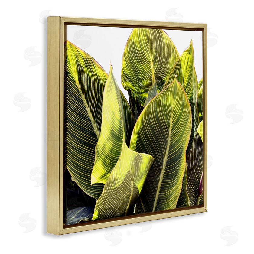 Emily Navas | Bright Tropical Leaves