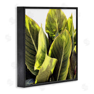 Emily Navas | Bright Tropical Leaves