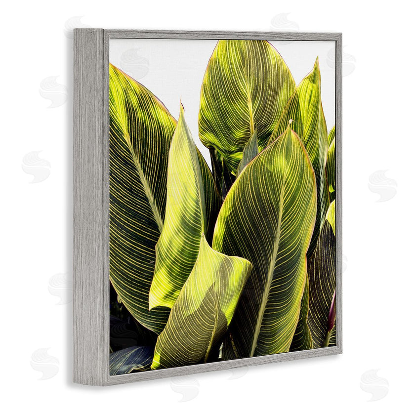 Emily Navas | Bright Tropical Leaves