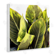 Emily Navas | Bright Tropical Leaves