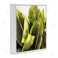 Emily Navas | Bright Tropical Leaves