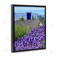 Kali Wilson | Surreal Doorway Landscape