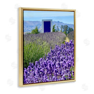 Kali Wilson | Surreal Doorway Landscape