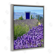 Kali Wilson | Surreal Doorway Landscape