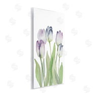Lanie Loreth | Soft Garden Tulips