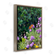 Kali Wilson | Butterfly in Meadow
