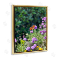 Kali Wilson | Butterfly in Meadow