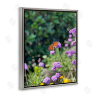 Kali Wilson | Butterfly in Meadow