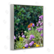 Kali Wilson | Butterfly in Meadow