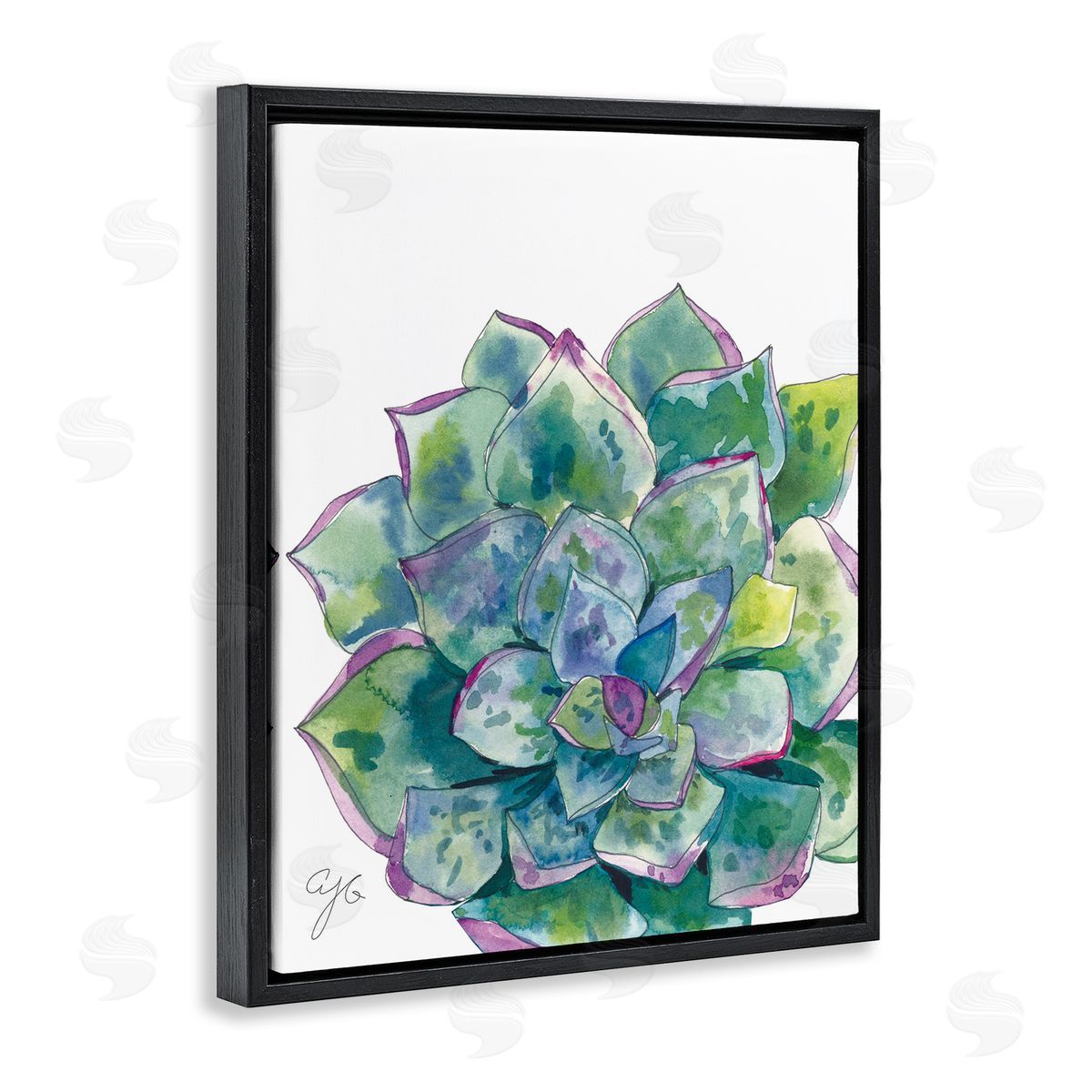 Abstract Succulent Watercolor Black Floating Frame Canvas Wall Art, Home Decor by Alexandria Gilbert Kincaid