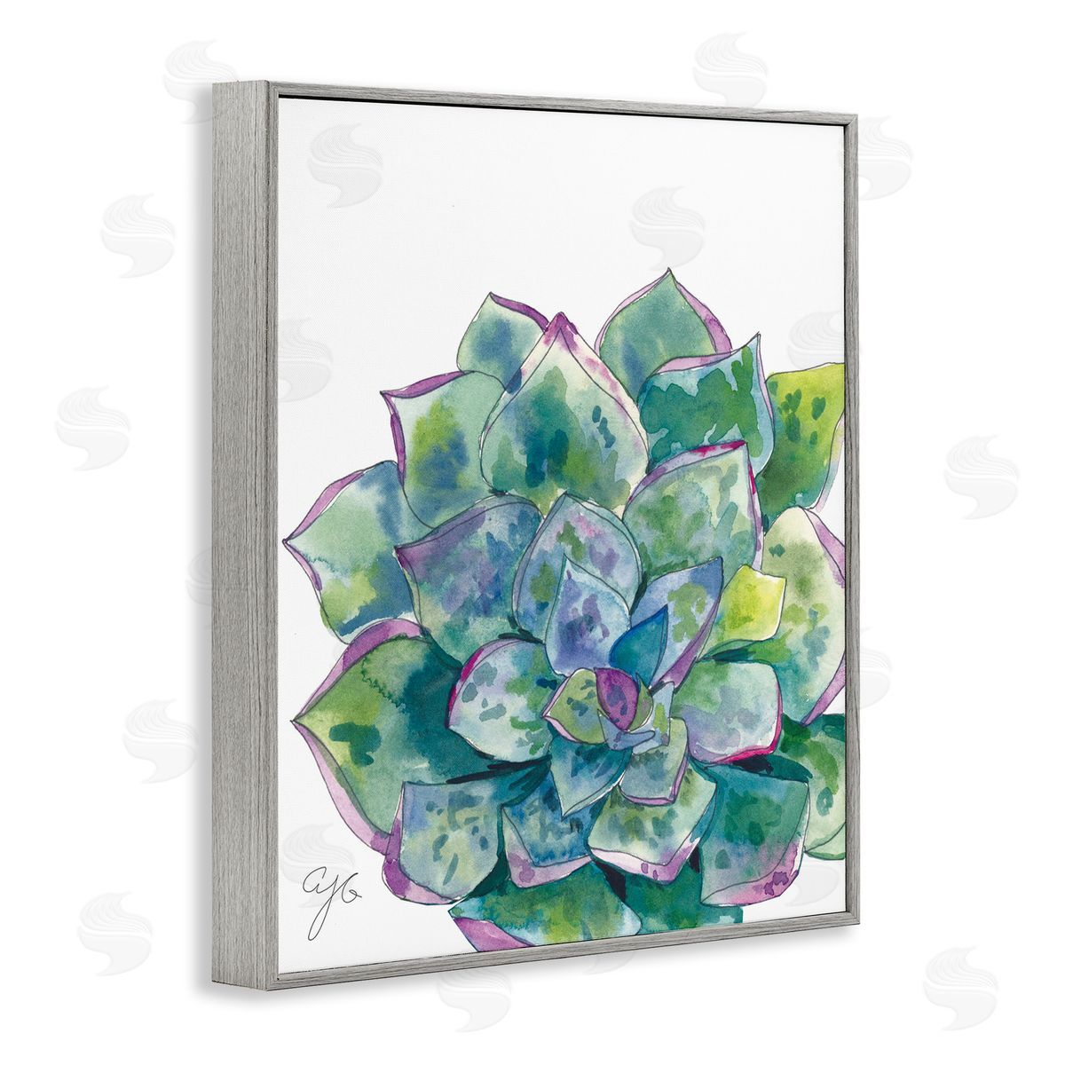 Abstract Succulent Watercolor Grey Frame Print Wall Art, Home Decor by Alexandria Gilbert Kincaid