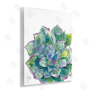 Alexandria Gilbert Kincaid | Abstract Succulent Watercolor