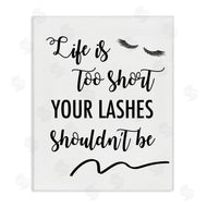 Anna Quach | Fun Lashes Phrase