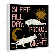 Carrie Cantwell | Sleep and Prowl Cats