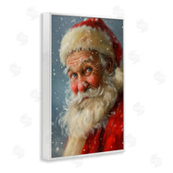 Imagine It Images | Rosy Santa Portrait