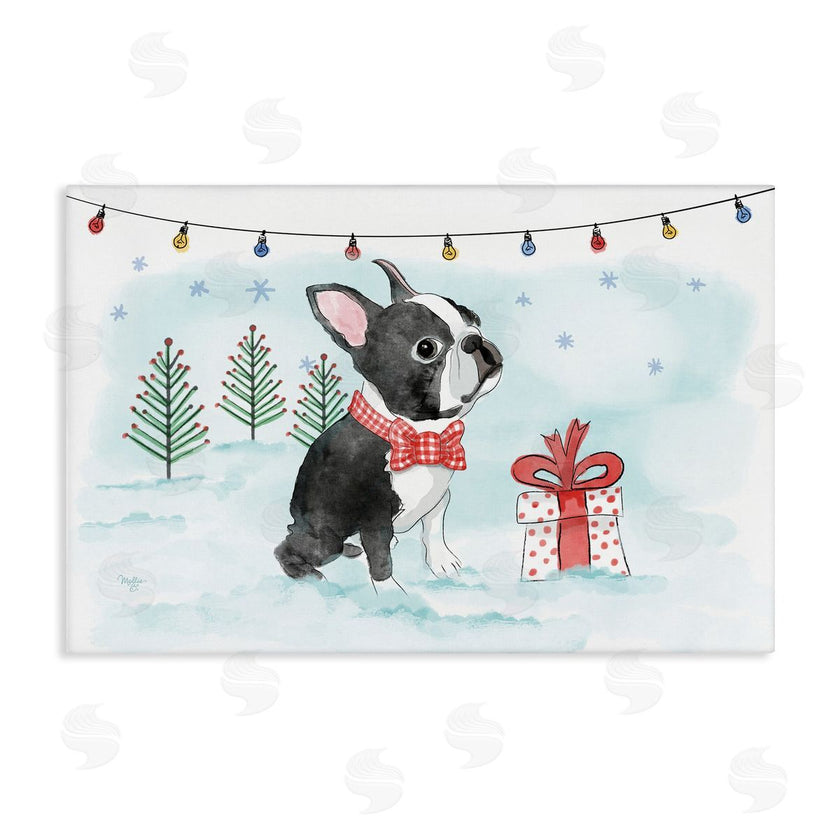Mollie B. | Snowy Boston Terrier