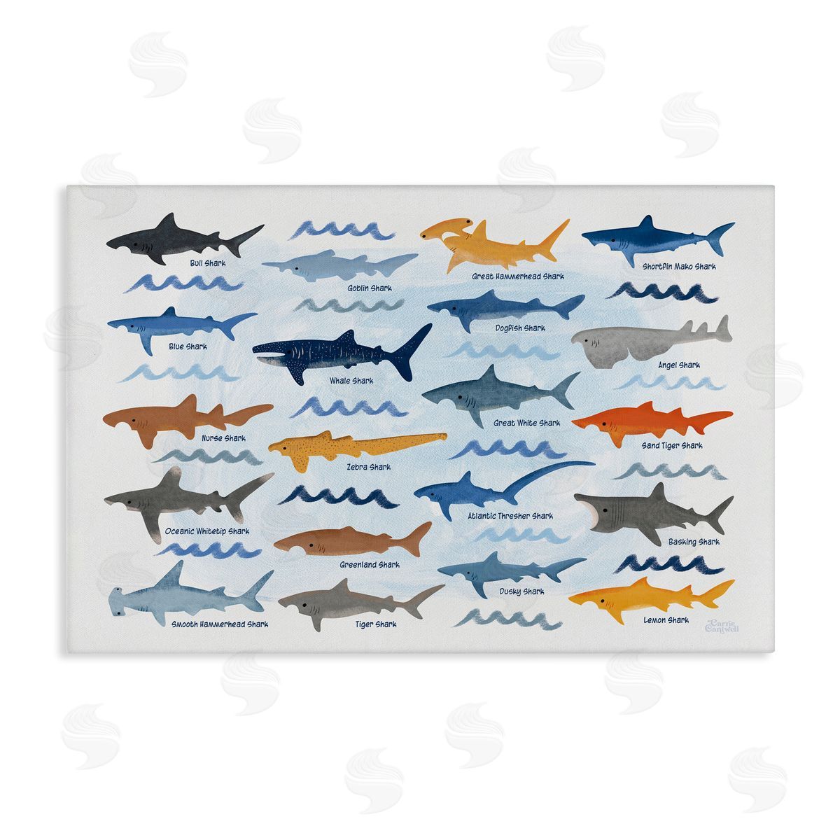 Various Shark Breeds Canvas Wall Art, Home Decor by Carrie Cantwell
