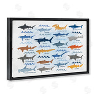 Carrie Cantwell | Various Shark Breeds