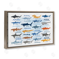Carrie Cantwell | Various Shark Breeds