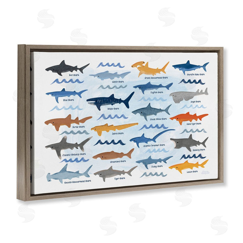 Carrie Cantwell | Various Shark Breeds