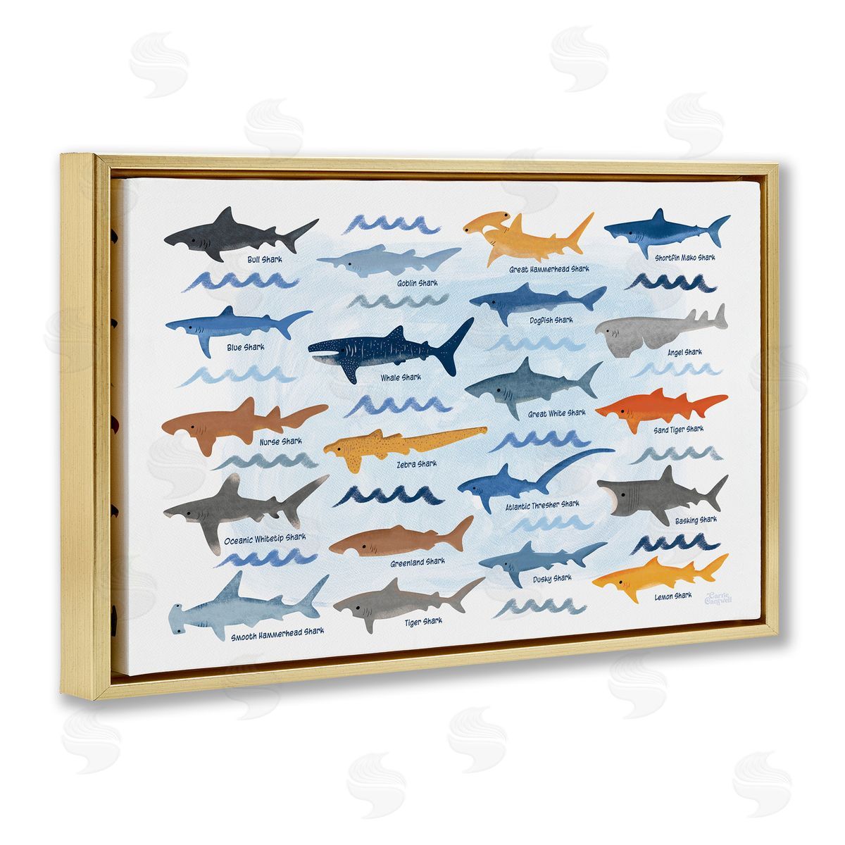 Various Shark Breeds Gold Floating Frame Canvas Wall Art, Home Decor by Carrie Cantwell