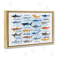 Carrie Cantwell | Various Shark Breeds