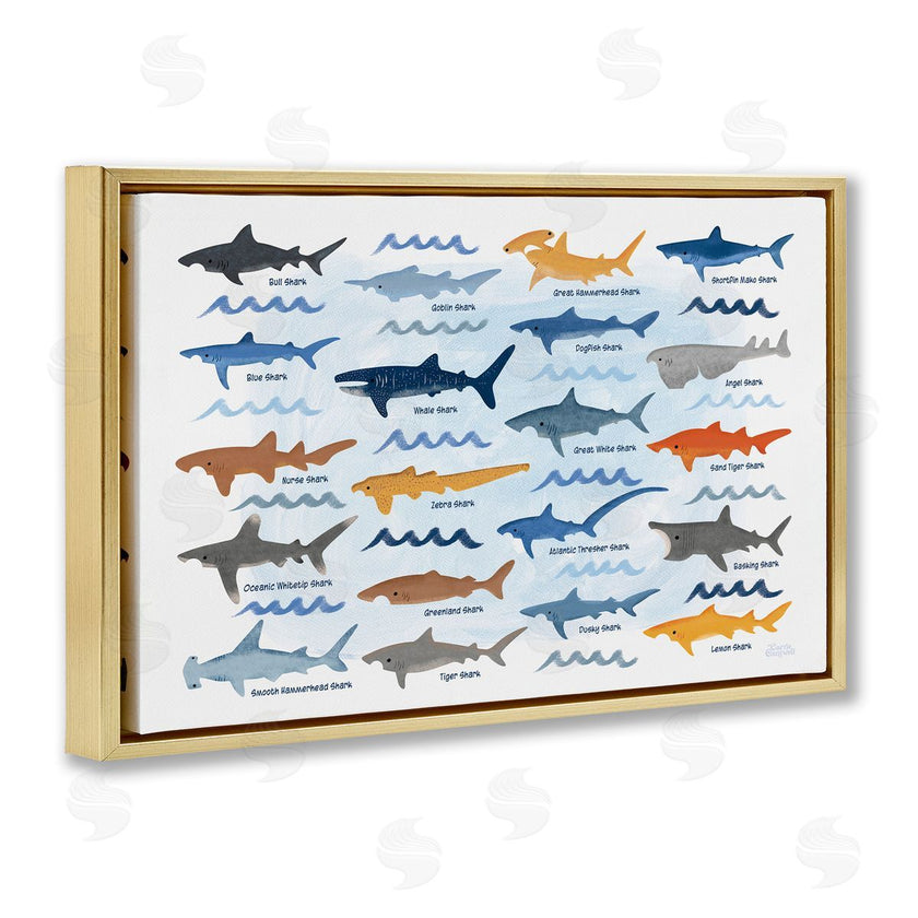 Carrie Cantwell | Various Shark Breeds