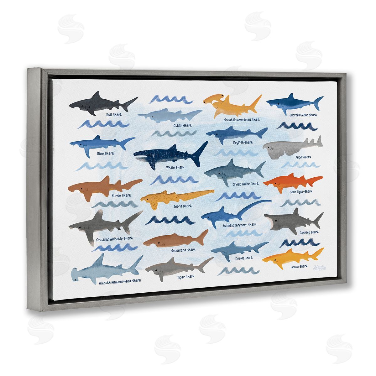 Various Shark Breeds Grey Floating Frame Canvas Wall Art, Home Decor by Carrie Cantwell