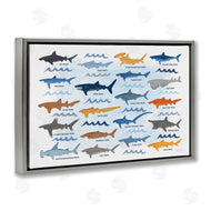 Carrie Cantwell | Various Shark Breeds