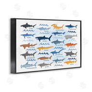 Carrie Cantwell | Various Shark Breeds