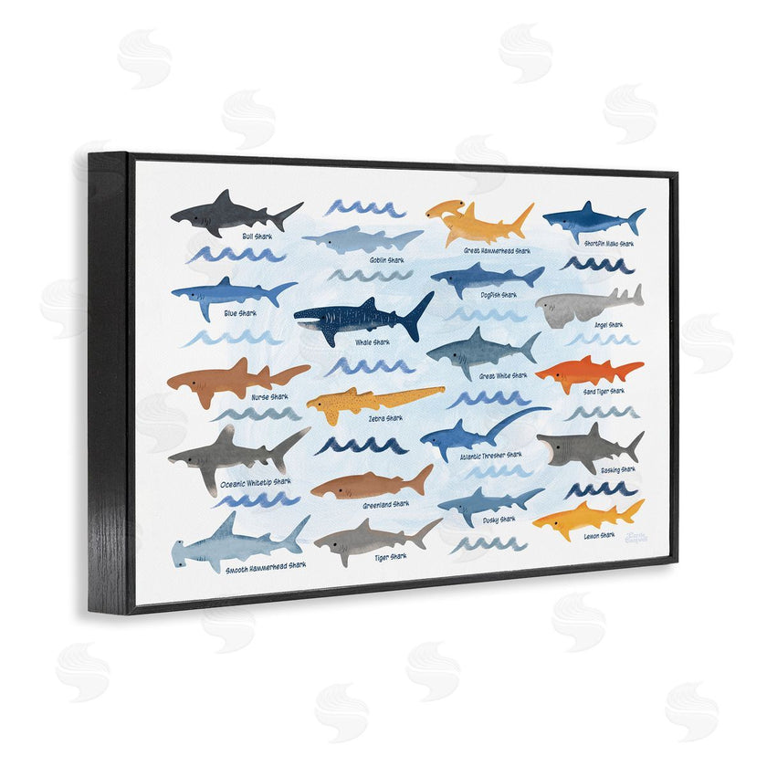 Carrie Cantwell | Various Shark Breeds