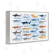 Carrie Cantwell | Various Shark Breeds