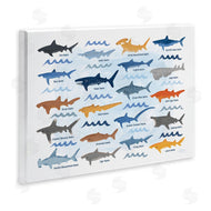 Carrie Cantwell | Various Shark Breeds