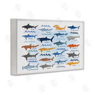 Carrie Cantwell | Various Shark Breeds