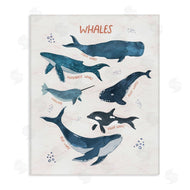Nina Blue | Whales of the World
